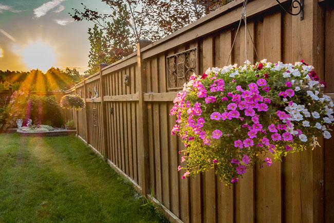 Add Beauty and Interest to Your Property with Decorative Fencing