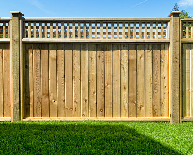 Why You Will Want a Garden Fence